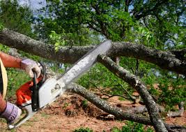 Best Lot and Land Clearing  in Kirksville, MO